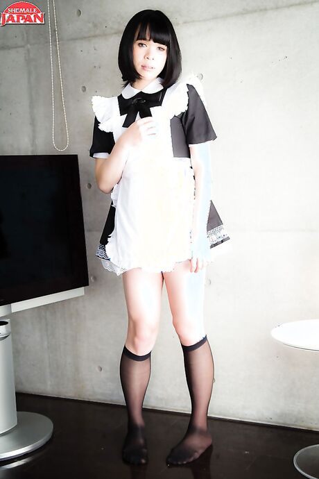 An Maid in Japan